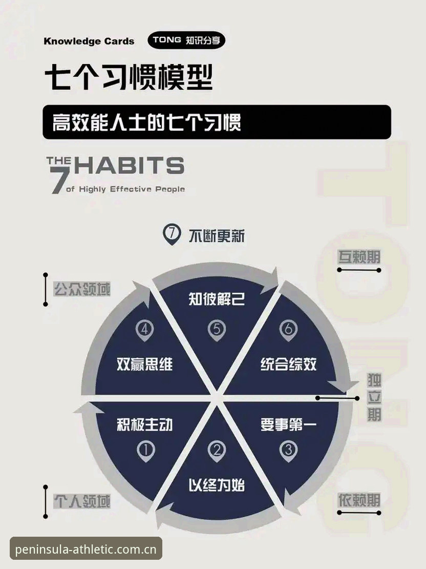 bandao体育平台移动端实用指南：高效使用与版本更新必备知识