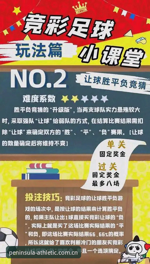 半岛体育平台 半岛体育平台全面升级详解:移动端体验与竞猜新玩法介绍