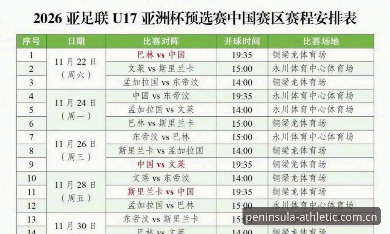 U17世界杯抽签结果解析：中国男女足分组形势与观赛实用指南